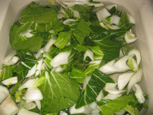 Bok choy cut up in sink