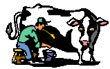 Cartoon gif man milking cow