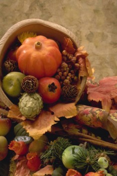 Thanksgiving pumpkin festive