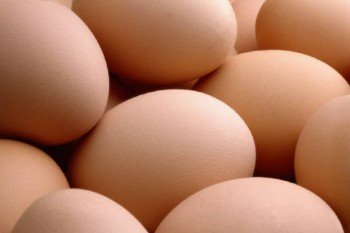 brown eggs