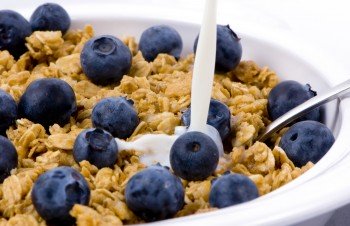 Bowl of cereal milk and blueberries