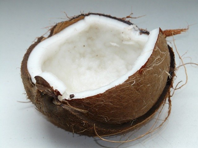 Coconut cut open