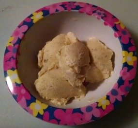 Healthy Diet Paradise home made french vanilla  ice cream made with xylitol